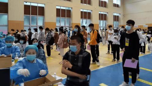 锰硅股吧消息爆料最新,行业动态与市场前景深度解析”  第3张